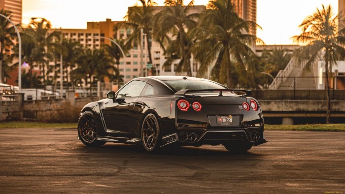 Nissan GTR r35 Egoist