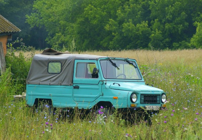 ЛУАЗ 969м