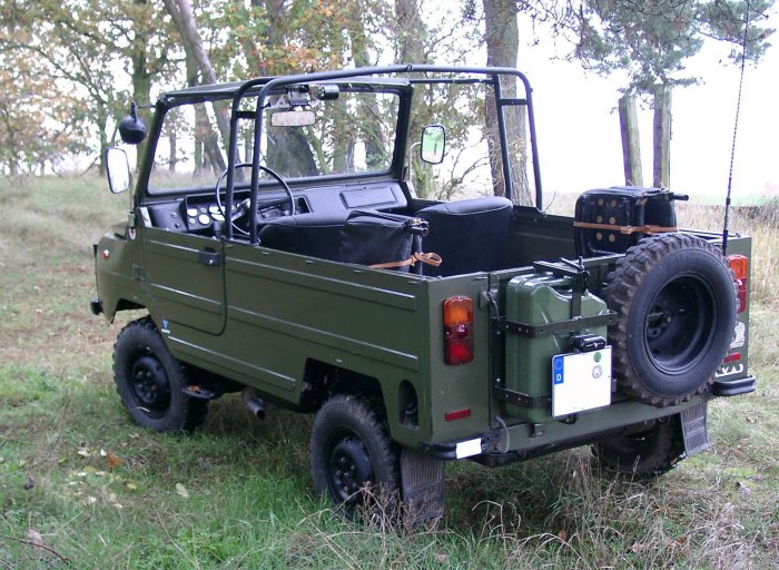 ЛУАЗ 969м
