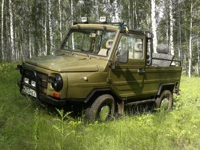 ЛУАЗ-969м "Волынь"