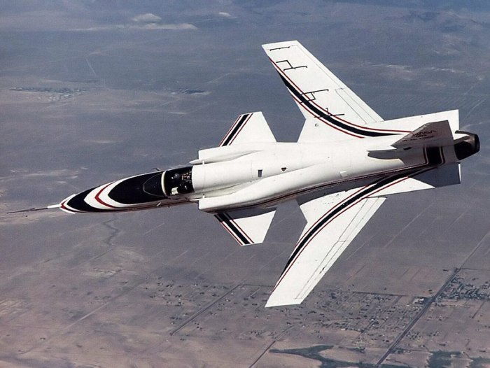 Самолет Grumman x 29