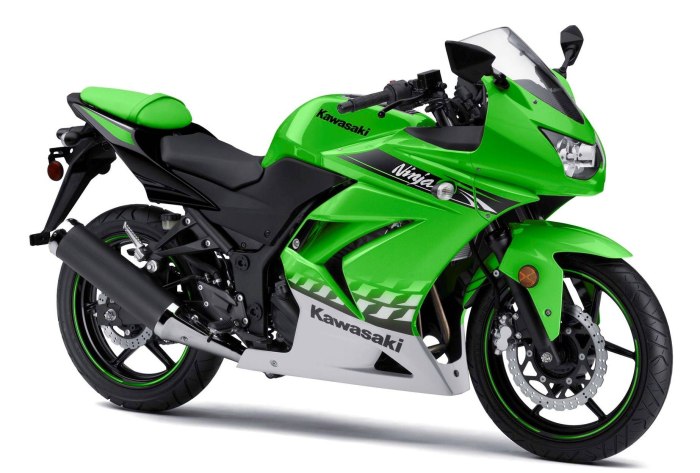 Kawasaki zx250