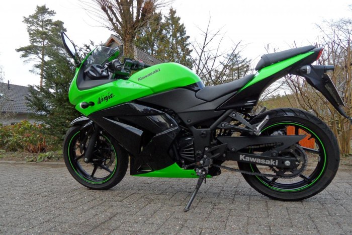 Кавасаки Ninja 250r