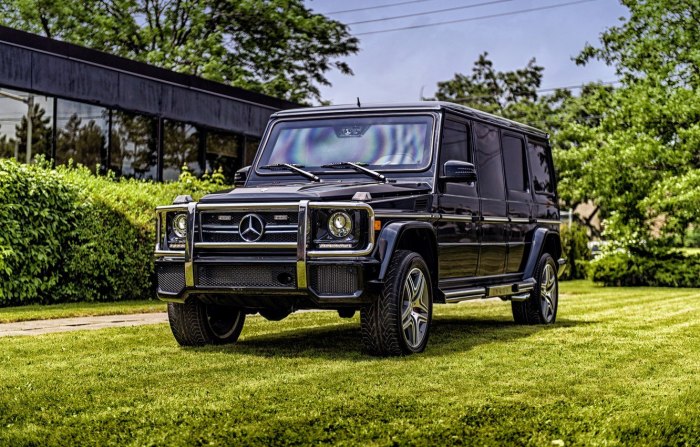 Mercedes Benz g class g63