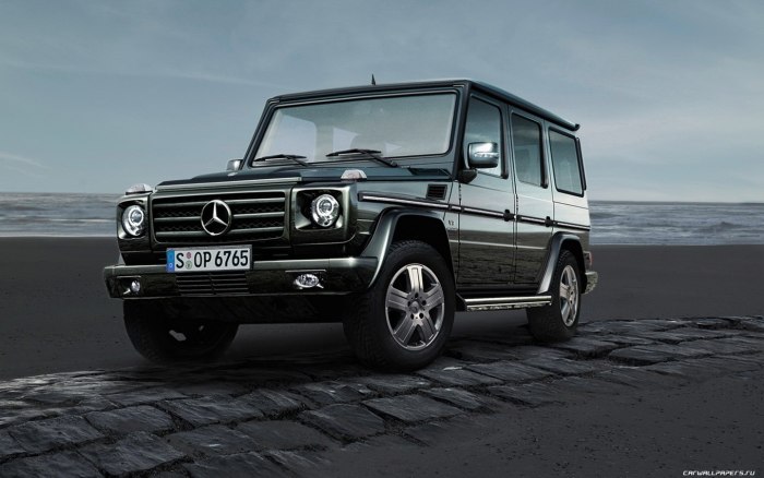 Mercedes Benz g320