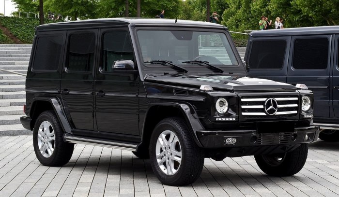 Mercedes-Benz g 350 BLUETEC