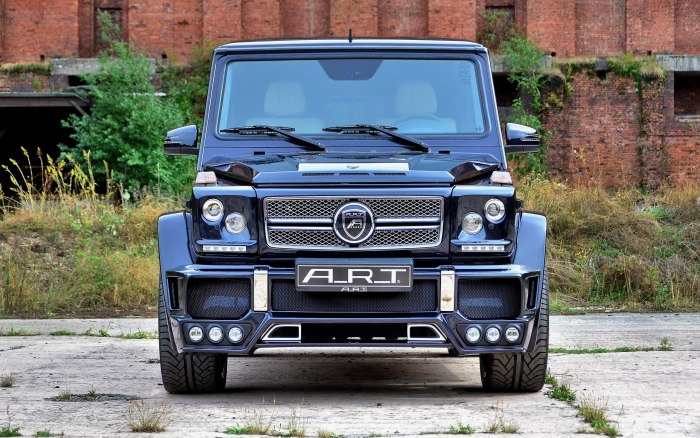Mercedes-Benz g-class g 55 AMG