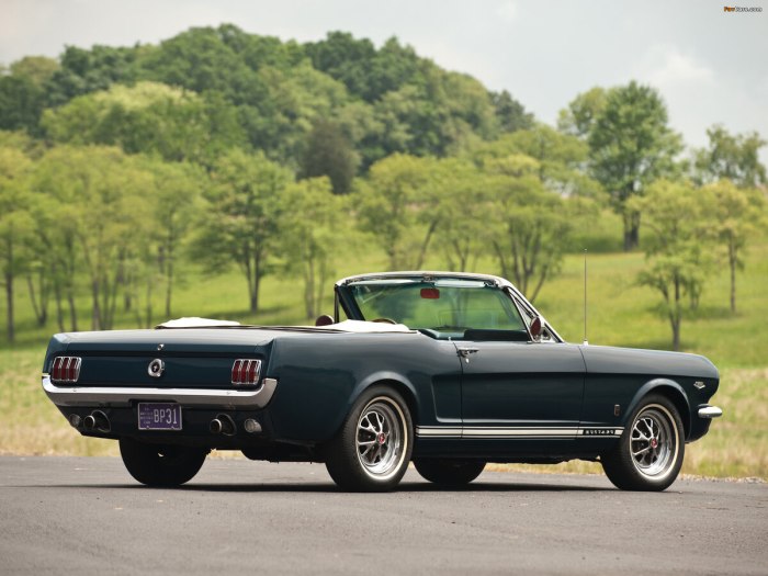 Ford Mustang gt 1964
