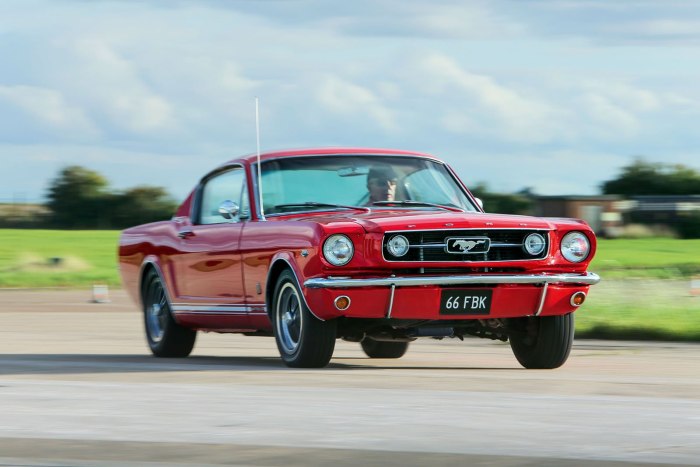 Ford Mustang Shelby 1964