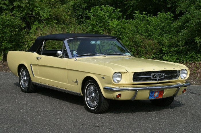 Ford Mustang 64