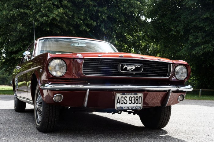 Mustang 65 года