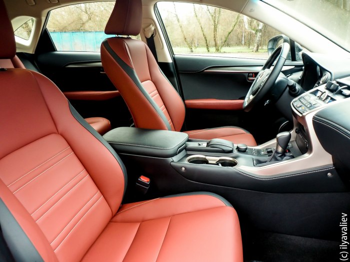 Lexus NX 300 салон красный