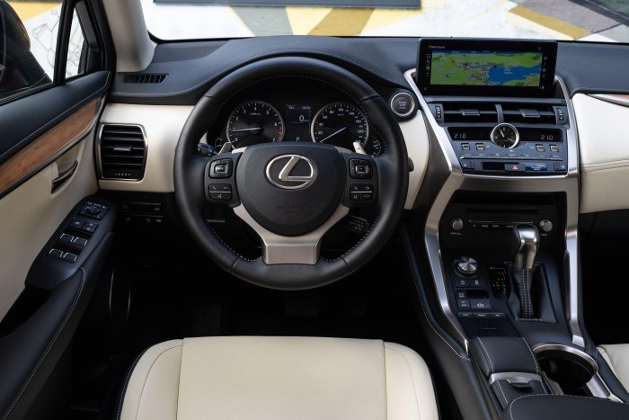 Lexus NX 200 Interior