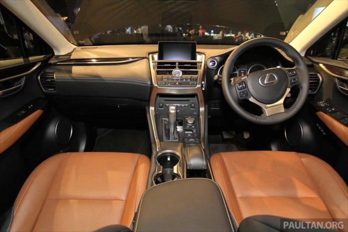 Lexus nx300 2020 салон