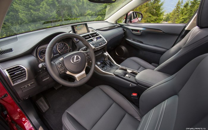Lexus NX 200 Interior