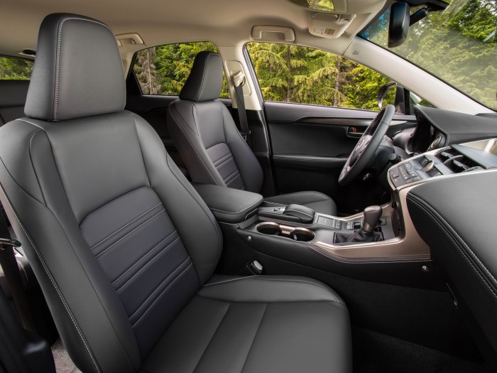 Lexus NX 200 Interior