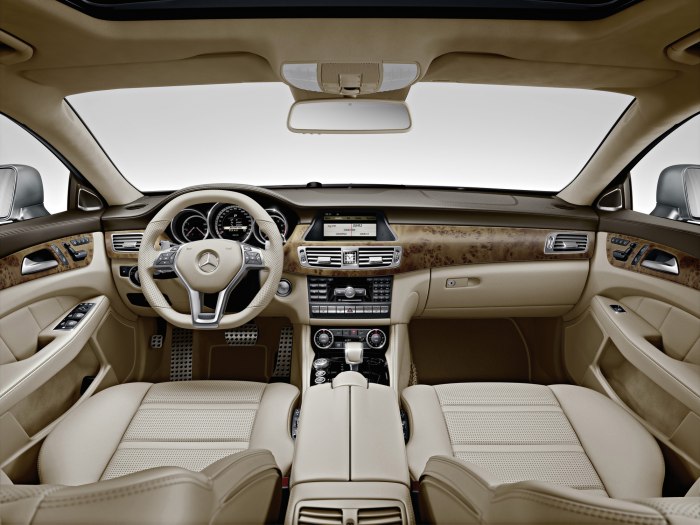 Mercedes Benz CLS 63 Interior