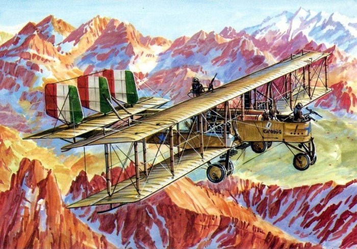 Самолет Caproni CA.1