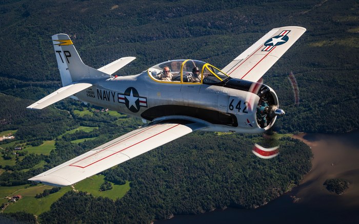 Aircraft Blade