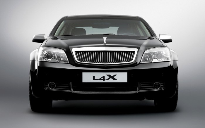 Daewoo l4x