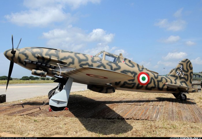Macchi c.205