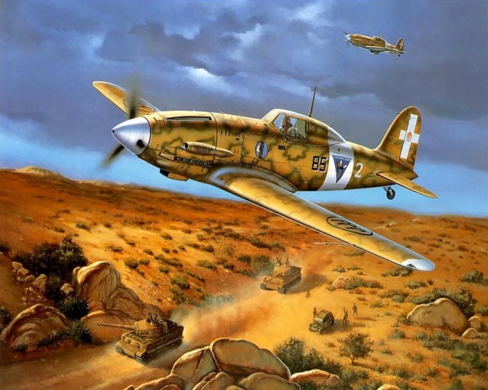 Macchi c.202