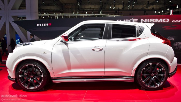 Nissan Juke r18