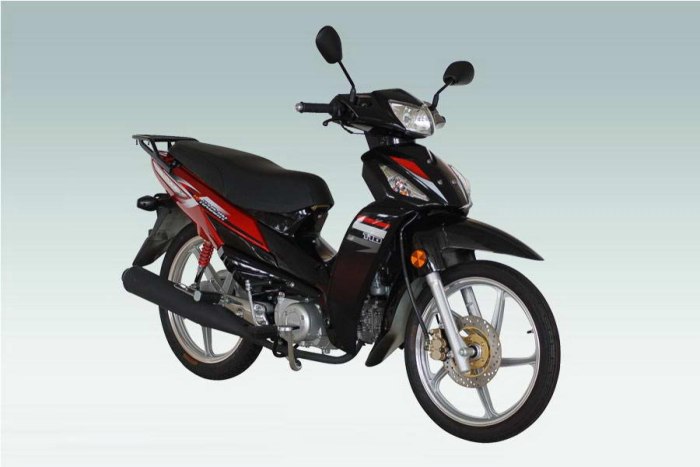 Zongshen 110-9