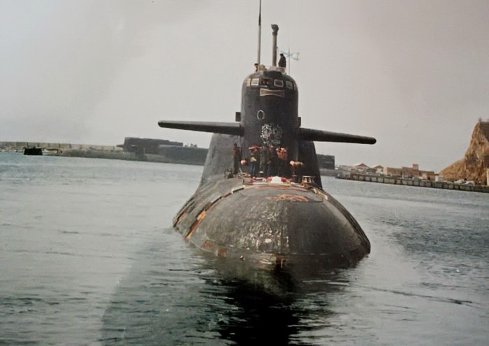 РПКСН 667 Буки