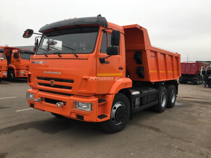 Самосвал КАМАЗ 65115-606058-48