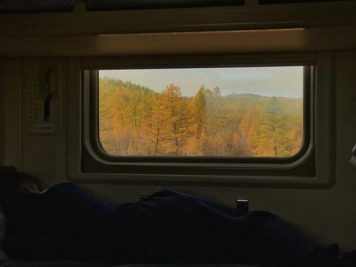 Окно вагона