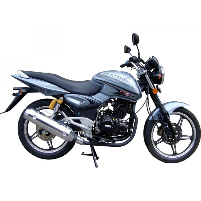 Мотоцикл Racer 250 Magnum