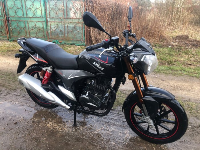 Stels Flame 200 черный
