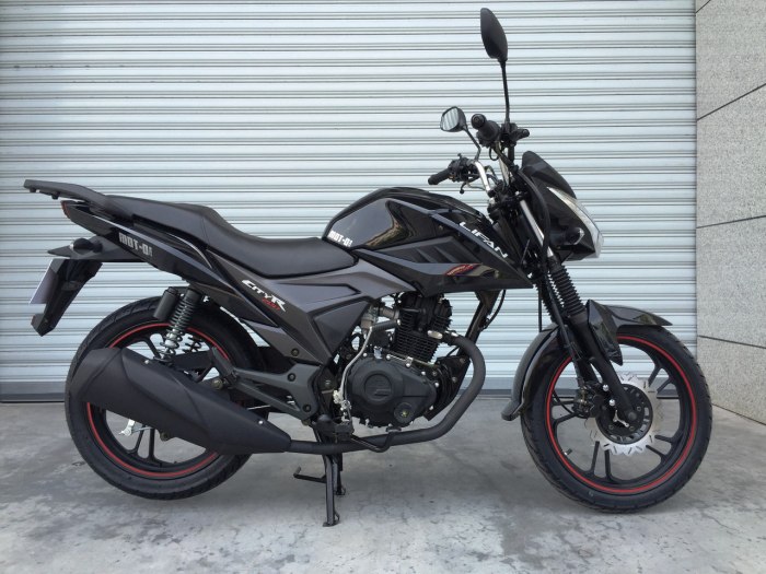 Lifan CITYR 200