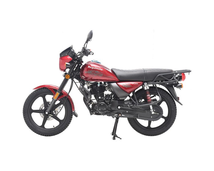 Мотоцикл Regulmoto sk 200-6
