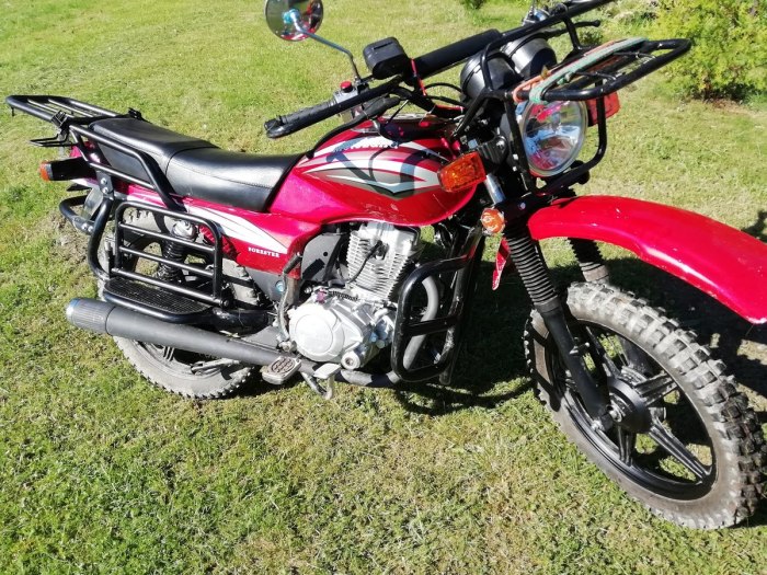 Motoland Forester 250