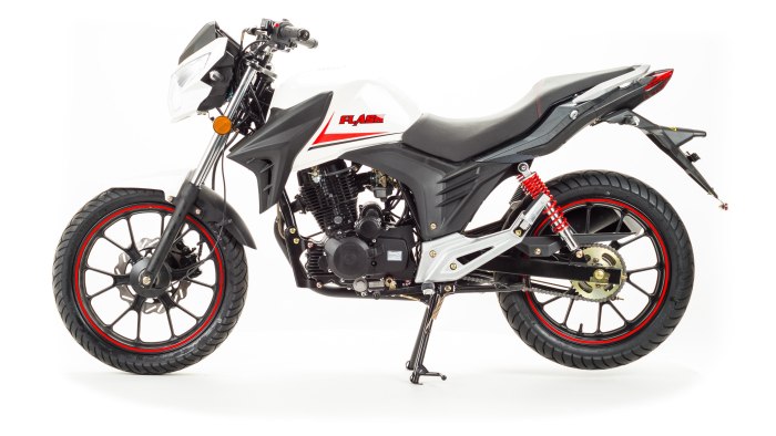 Motoland Flash 200