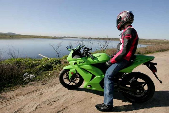 Kawasaki Ninja ZZR 250