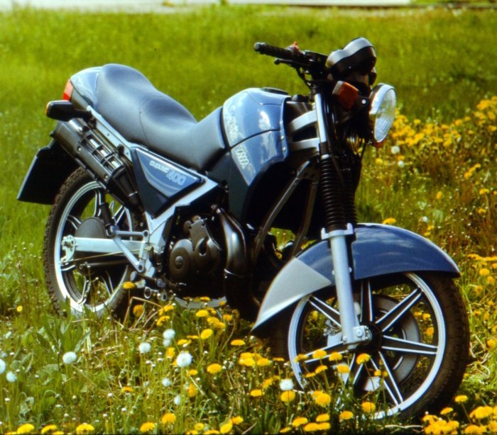 ИЖ 7.110
