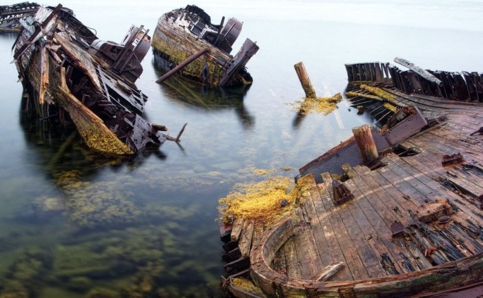 Саргассово море море погибших кораблей