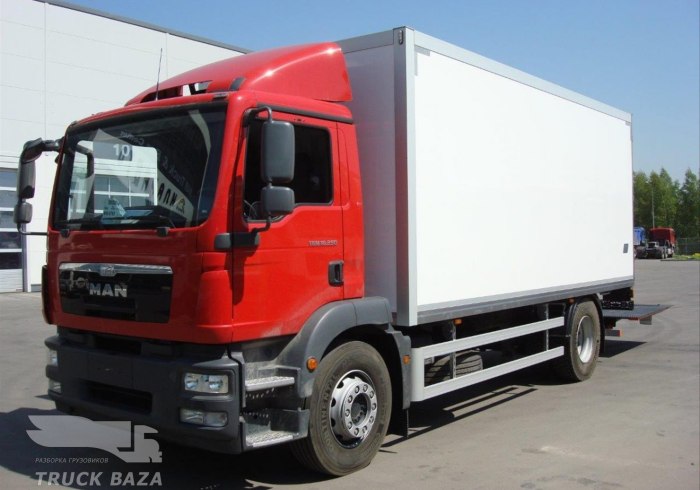 Man TGM 18.250 магнит