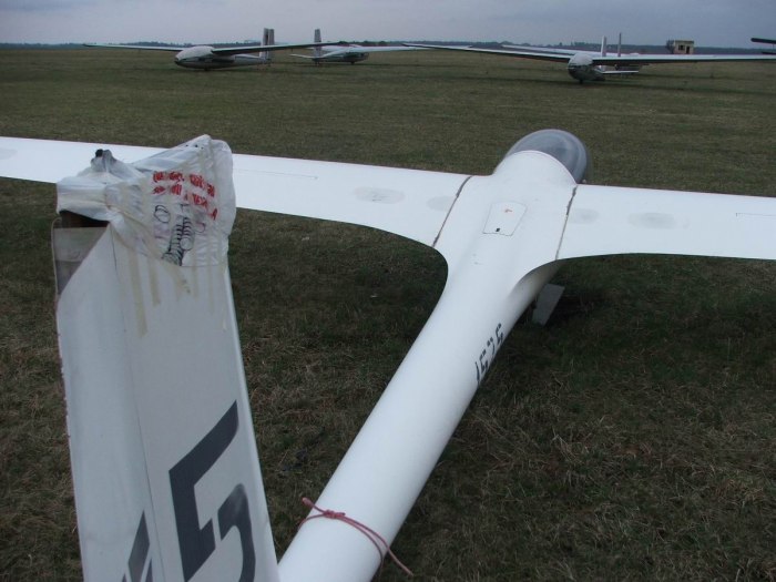 Планер Jantar Standard 3b-Eagle