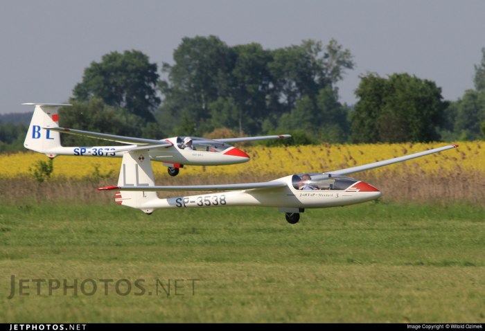 SZD-41a Jantar Standard