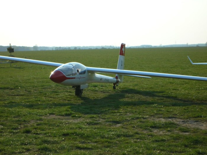 SZD-41a Jantar Standard