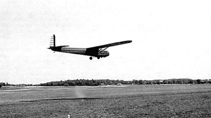 Планер Jantar Standard 3b-Eagle