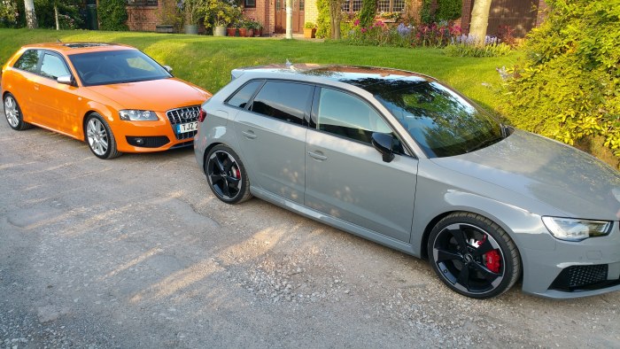 Rs3 Nardo Grey