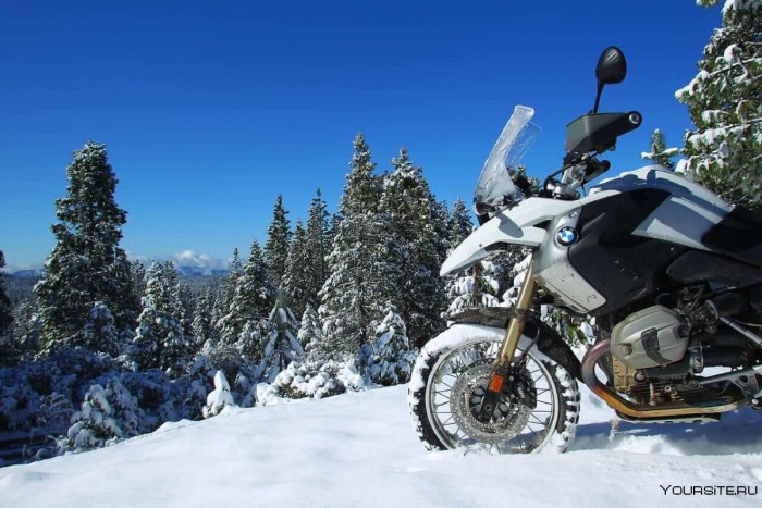 BMW r1200gs 2011