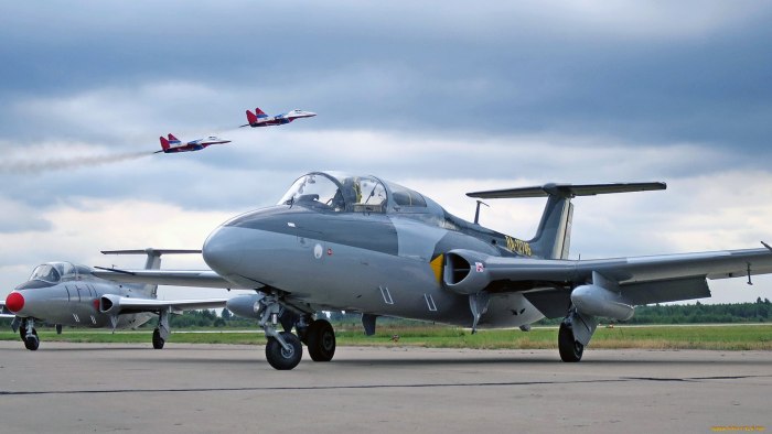 Реактивном самолете л-29 Delfin
