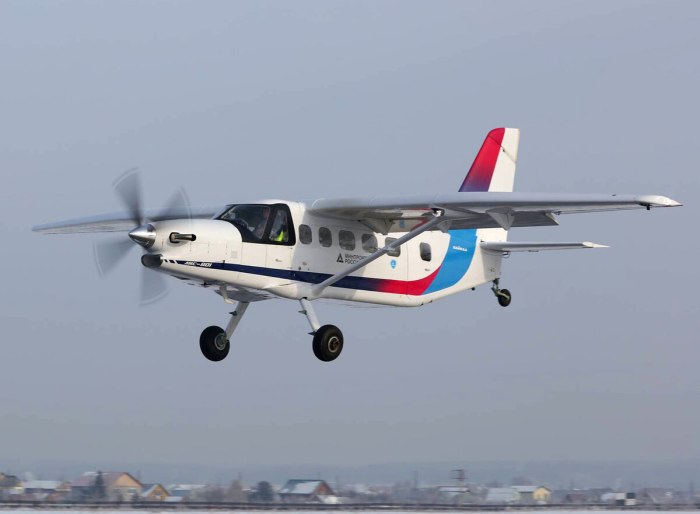 ЛМС-901 самолёт