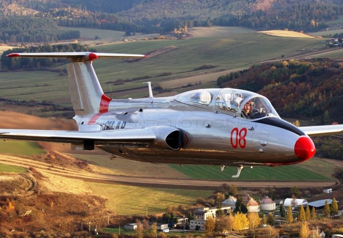 L 29 истребитель